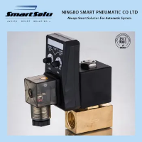 Elektriline automaatne tühjendusklapp