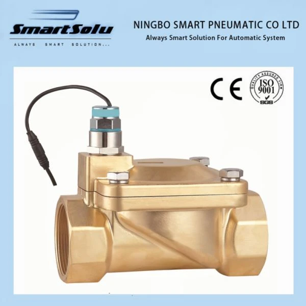 RSZ kahesuunaline Bistable iseseisev pulss Solenoidventiil