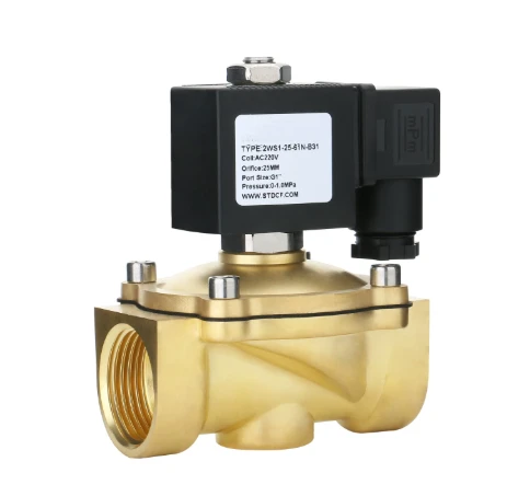 2WS1 Waterproof Coil Solenoid Valve factory